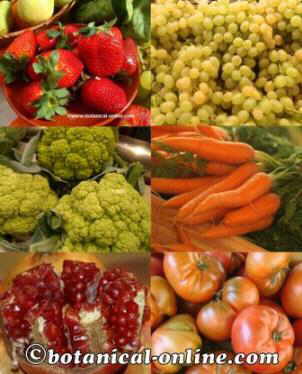 Frutas anticancer ricas en polifenoles