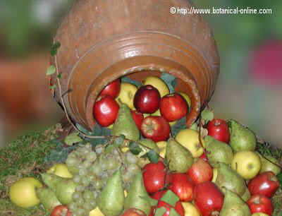 Jarro de frutas