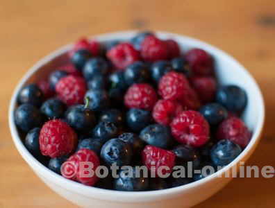 frutos rojos frambuesas arandanos