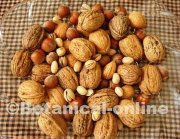 frutos secos nueces pistachos avellanas almendras