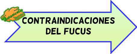 contraindicaciones del fucus