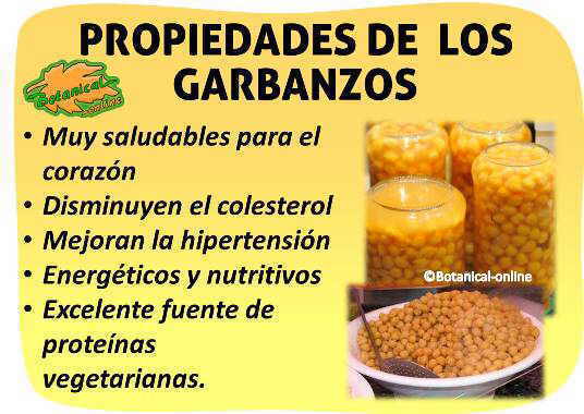 propiedades de los garbanzos