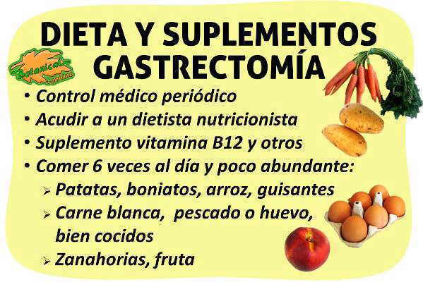dieta alimentos para gastrectomia