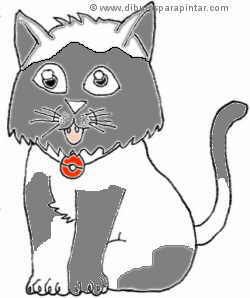 gato