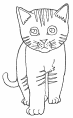 Dibujo de gato 1