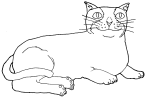 Dibujo de gato 2