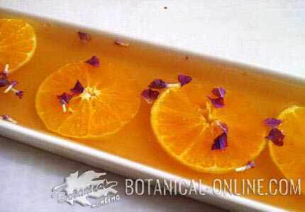 gelatina de agar agar con naranja