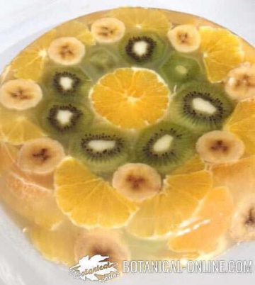 gelatina de frutas con agar agar