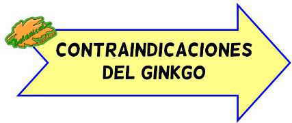 contraindicaciones del ginkgo