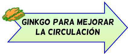 propiedades del ginkgo para mejorar la circulación