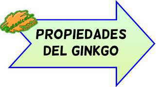 propiedades medicinales del ginkgo