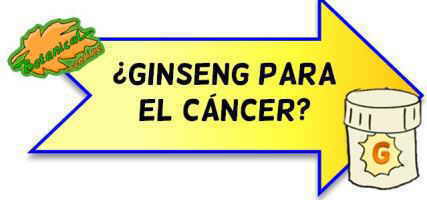 ginseng para el cancer