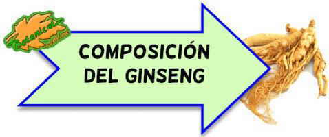 composición del ginseng