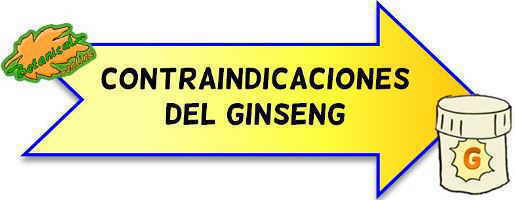 contraindicaciones del ginseng