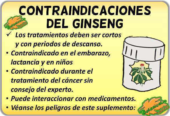 contraindicaciones del Panax ginseng