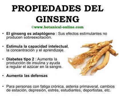 Propiedades del ginseng