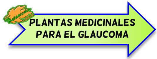 plantas glaucoma