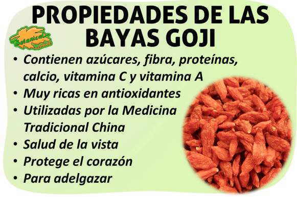 Gasto Disminución Socialista Propiedades de las bayas de Goji – Botanical-online