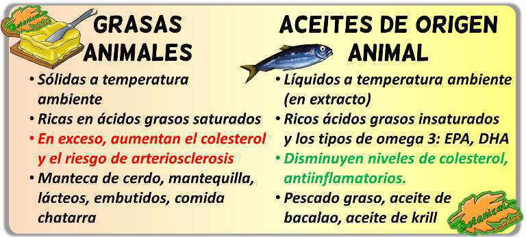 diferencias aceites de origen animal y grasas animales caracteristicas propiedades