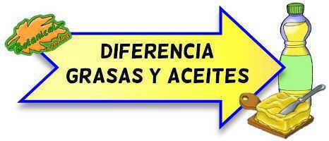 diferencias aceite y grasa