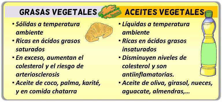 Top 44+ imagen diferencia aceite vegetal y girasol