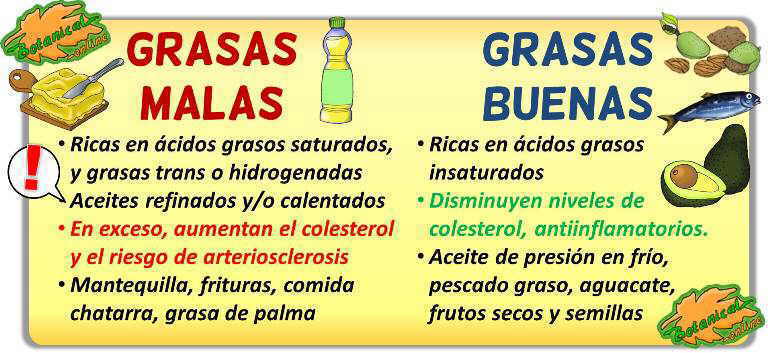 diferencias aceites de origen animal y grasas buenas y malas