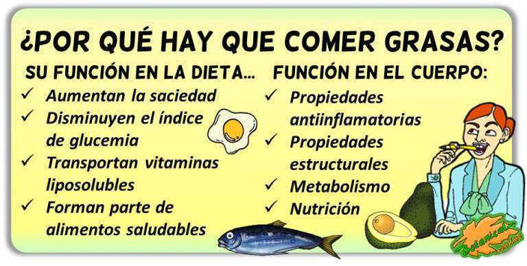 importancia funciones beneficios de comer grasas