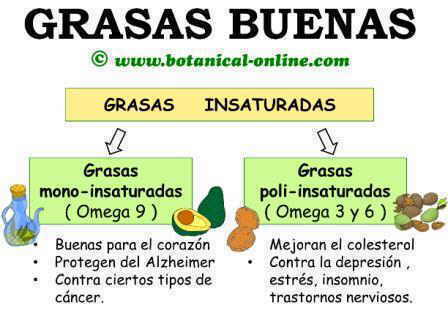 Grasas sanas insaturadas o omega 3 6 9 