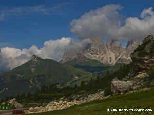 seccion del grupo de sella