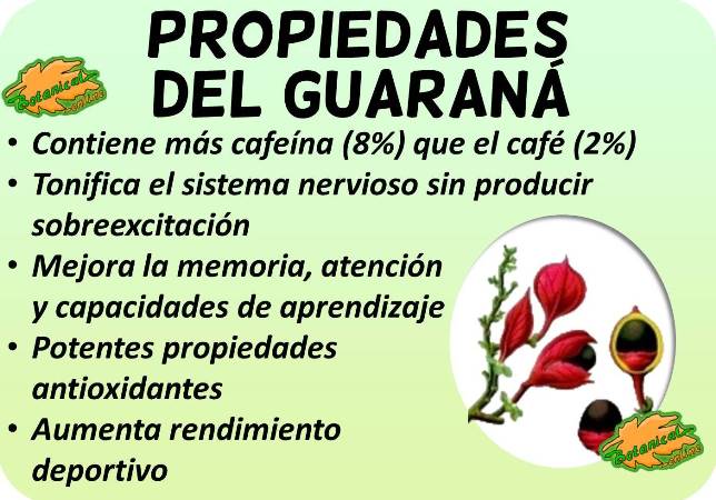 propiedades medicinales guarana
