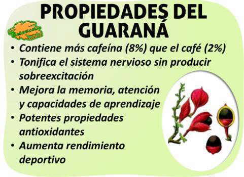 propiedades medicinales guarana