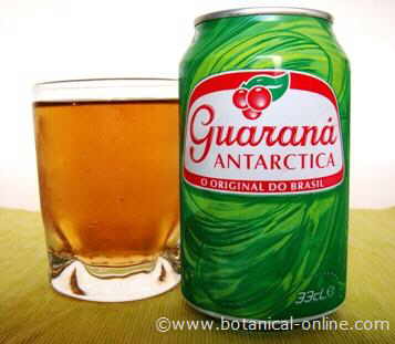 guarana