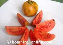 La guayaba contiene muchisima vitamina C