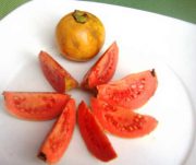 guayaba