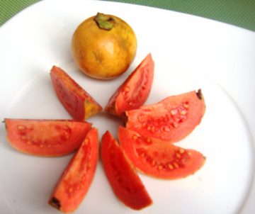 guayaba guava