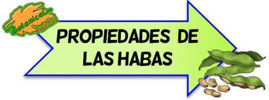 habas