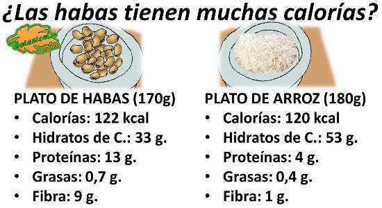 Calorías o kcal que contienen las habas, valor nutricional