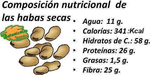 composicion nutricional de las habas secas