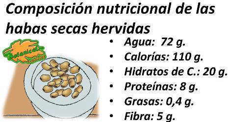 composicion nutricional de las habas secas cocidas