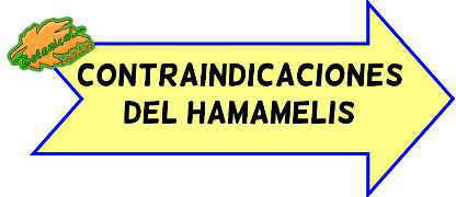 contraindicaciones del hamamelis