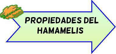 propiedades del hamamelis