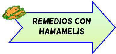 remedios con hamamelis