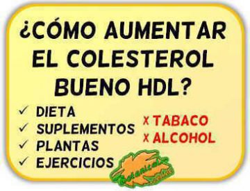 remedios aumentar hdl colesterol