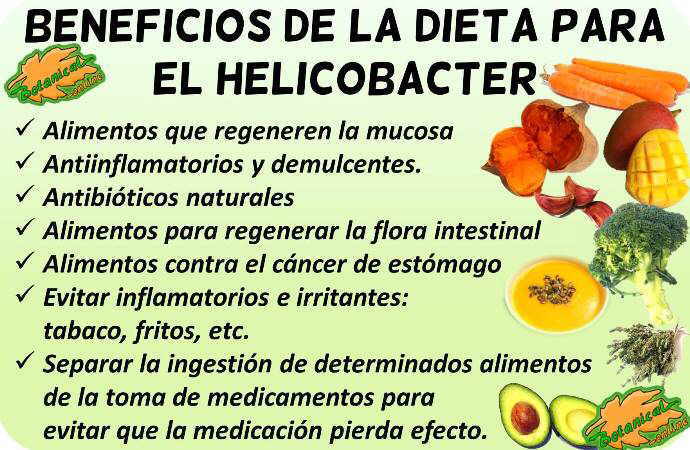 Dieta Para Helicobacter Pylori Botanical Online