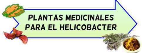 plantas medicinales helicobacter