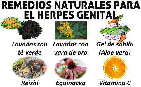 remedios naturales herpes genital alimentos y plantas medicinales