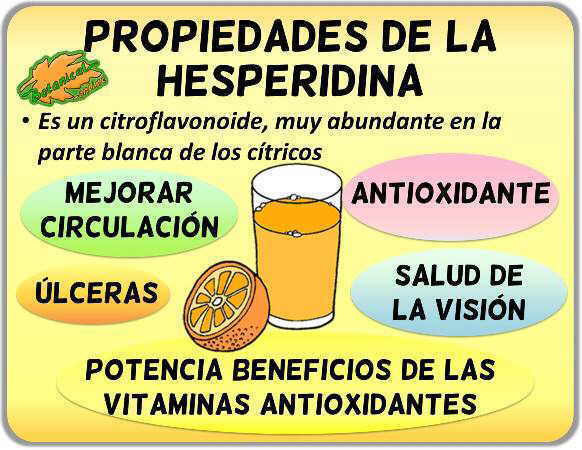 propiedades de la hesperidina citricos jugos zumo naranja