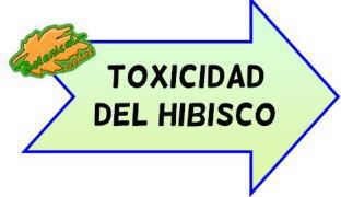 toxicidad del hibisco