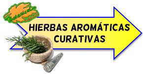 Propiedades hierbas plantas aromaticas cocina