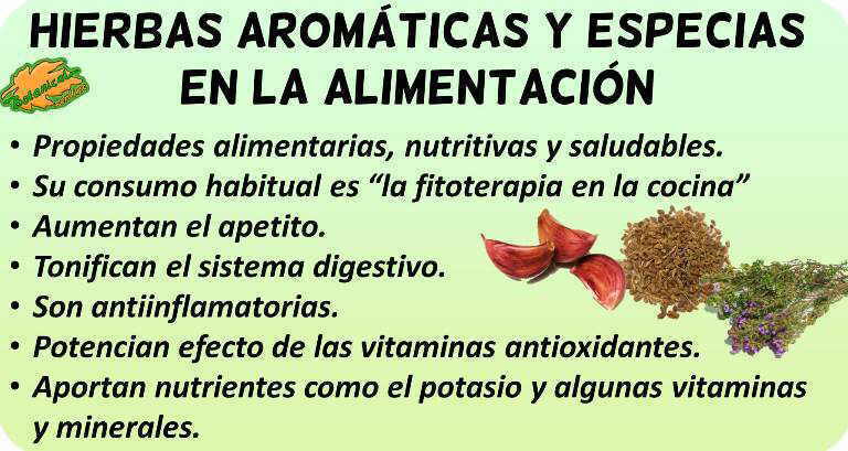 propiedades alimentarias hierbas aromaticas y especias